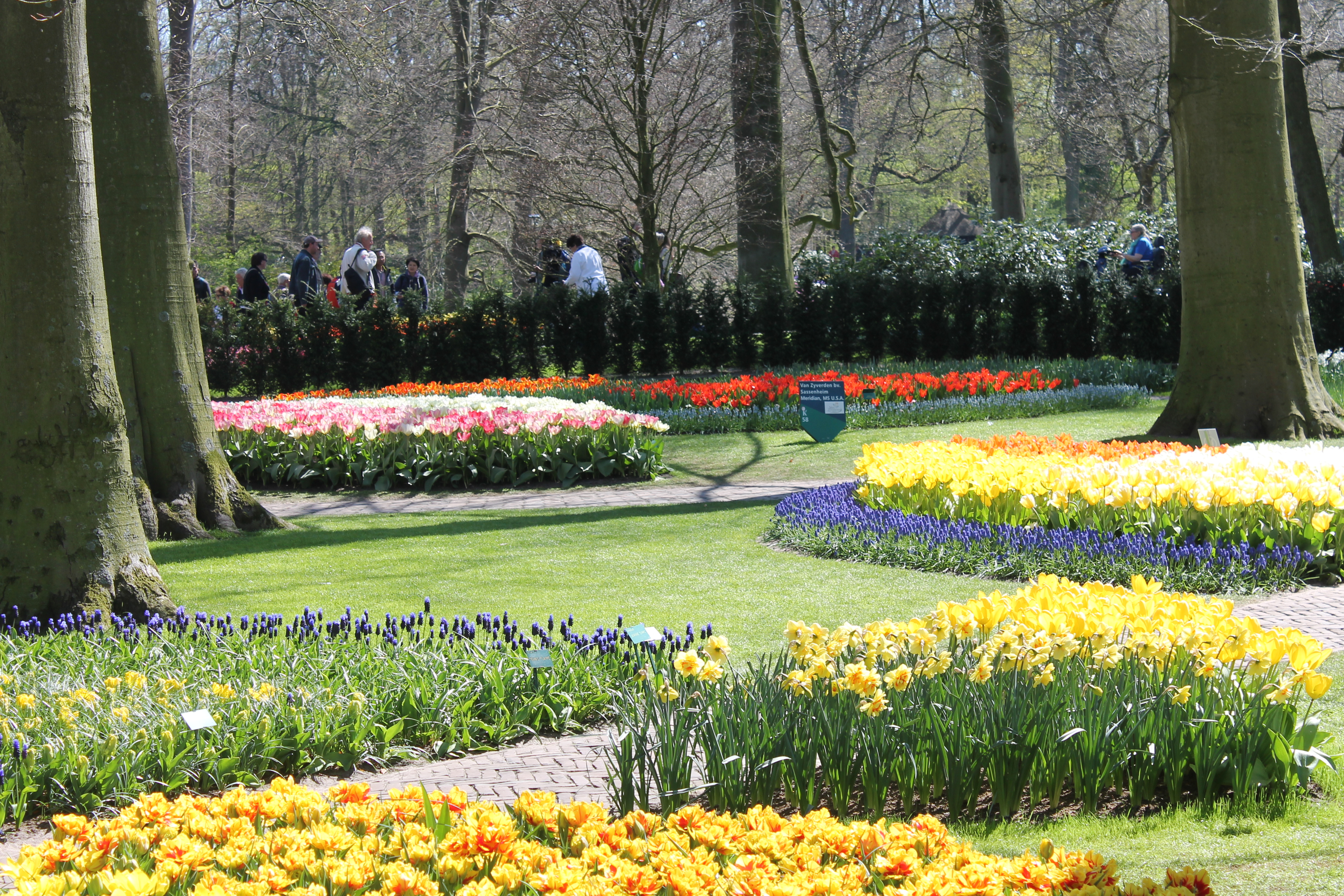 Keukenhof  / NL